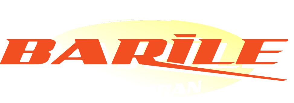 SAS Etablissements Barile SAS Etablissements Barile